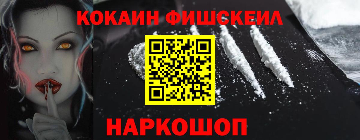 Энгельс  закладки  Вход с VPN  Cocaine Fish Scale 