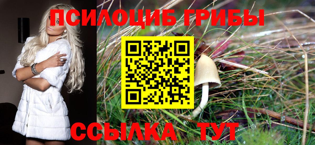 Псилоцибиновые грибы Magic Shrooms Энгельс