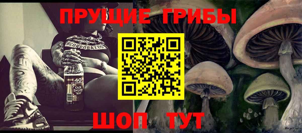 Псилоцибиновые грибы Cubensis  Галлюциногенные грибы прущие грибы  Энгельс  Вход с VPN 